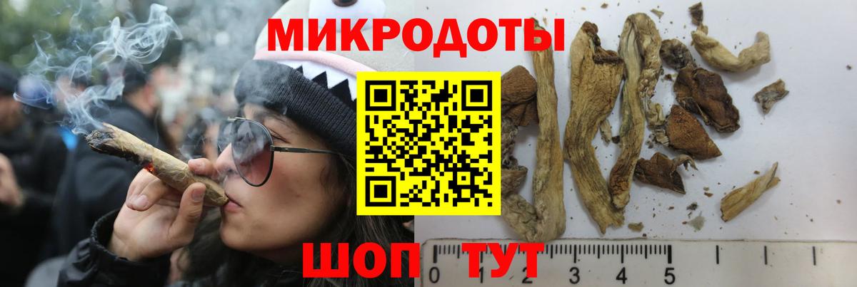 Галлюциногенные грибы Cubensis  Вход с VPN  Черемхово  Галлюциногенные грибы GOLDEN TEACHER 
